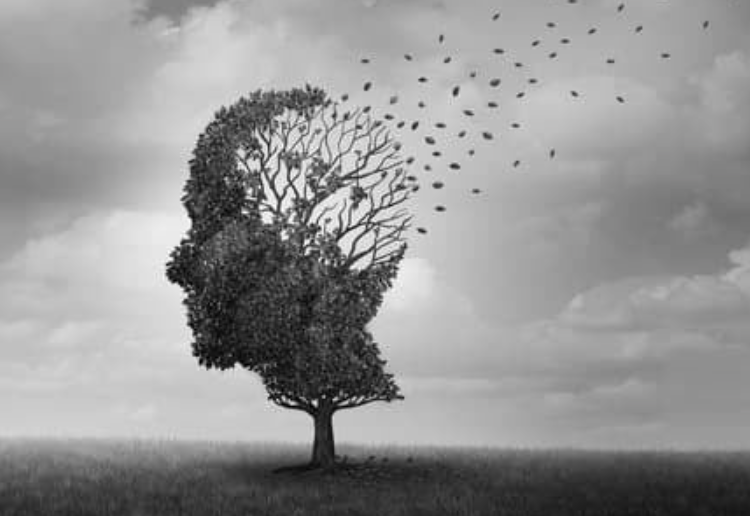 Comment freiner la maladie d’Alzheimer?