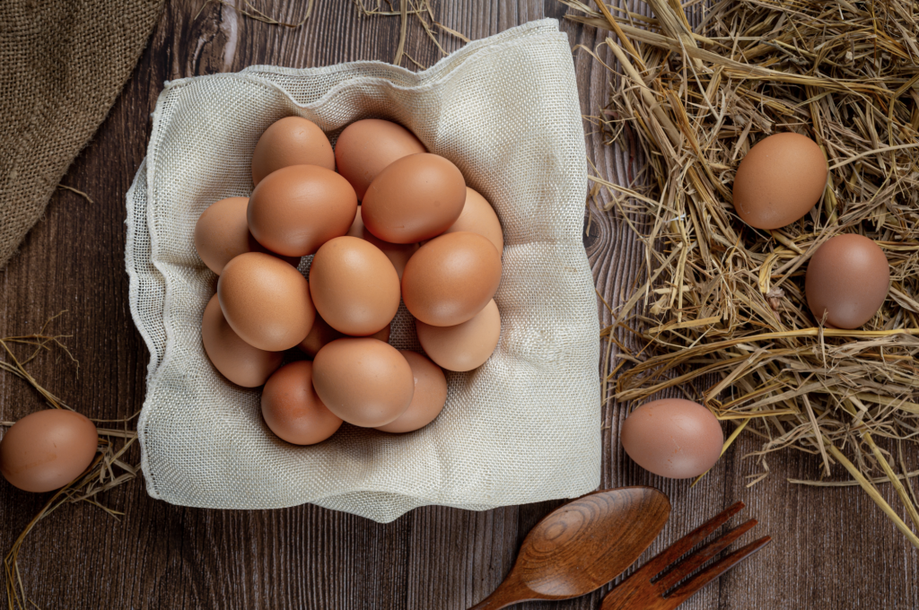 Des œufs aux ovoproduits, apprendre à prendre soin de s, Niort